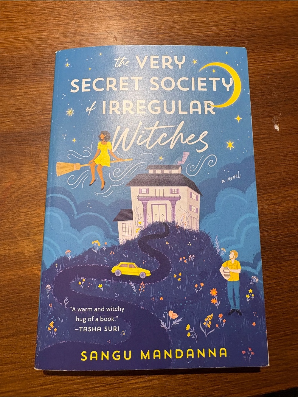 The Very Secret Society of Irregular Witches Book